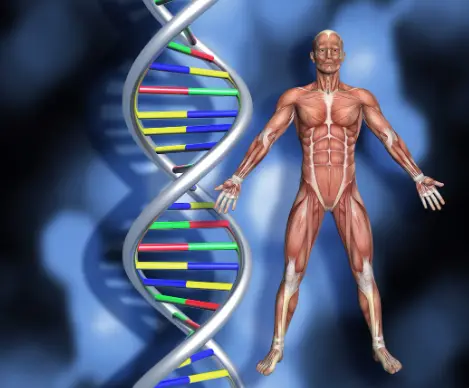 The Biological Origins of Oxytocin and Vasopressin