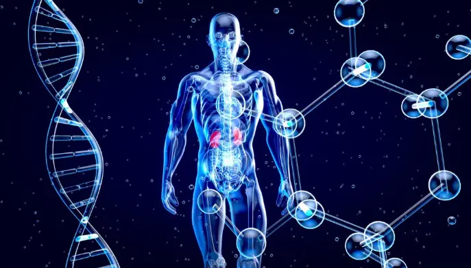 Where Is Oxytocin Produced and Released in the Body
