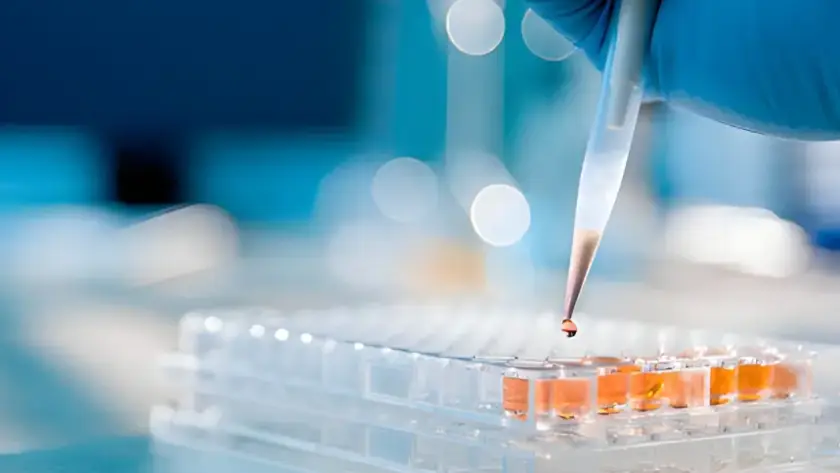 Do peptides make you lose weight