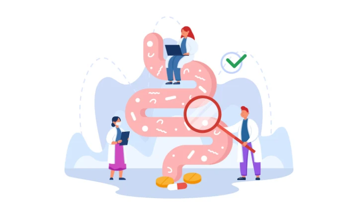 BPC-157 Gut Health and Gastrointestinal Healing Research