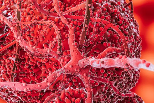 BPC-157 Peptide Research Tissue Repair and Regeneration Across Systems