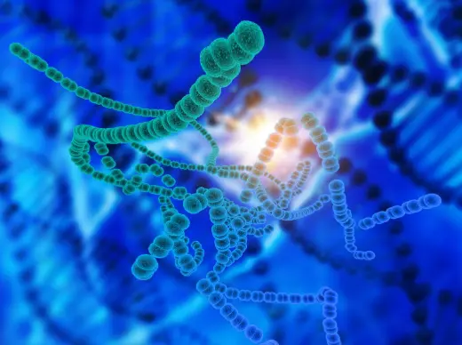 Growth Hormone Receptors and Fibroblast Activation