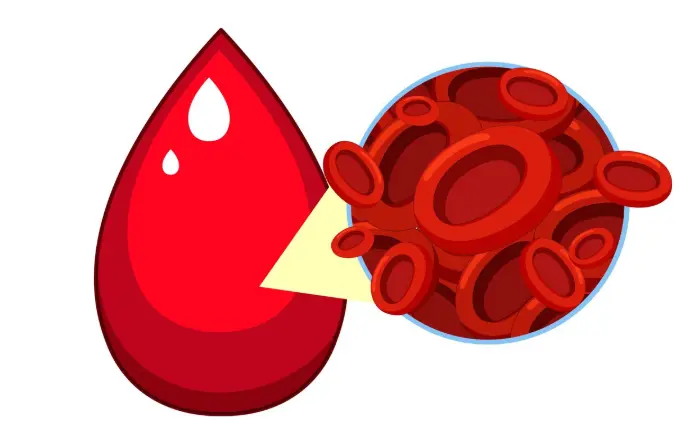 Stimulating New Blood Vessel Formation