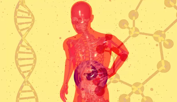 The Origins of BPC-157 Gastric Juice and Human Biology