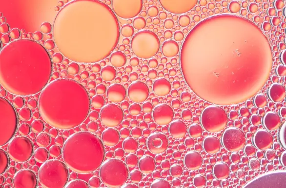 Tissue Repair Peptides and Recovery Timelines