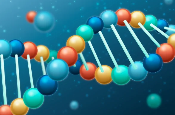 Understanding What BPC-157 Is at a Molecular Level