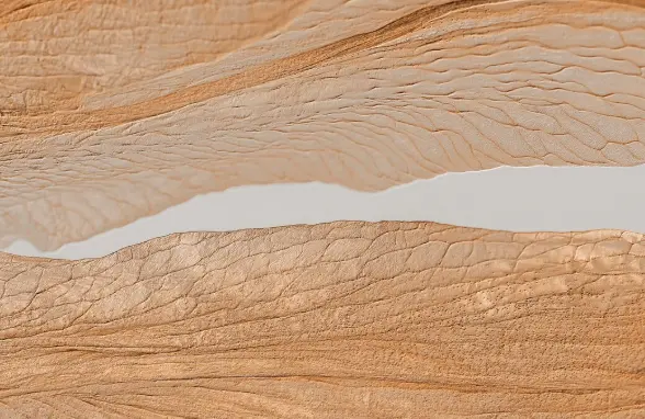 Controlled Clinical Studies Skin Topography and Expression Line Research